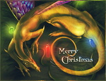 Christmas Dragonet