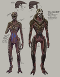 Nude Turian Concepts